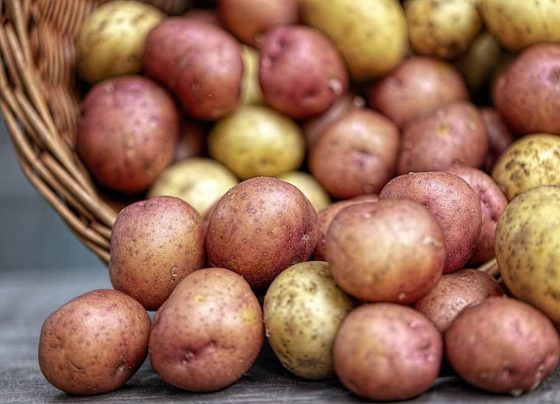 Kolorowe ziemniaki czyli „superfoods” po polsku