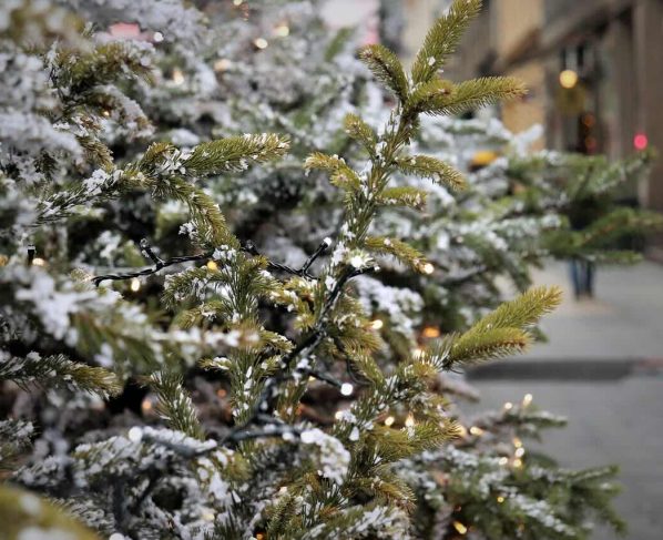 swiateczny-budzet-pod-kontrola