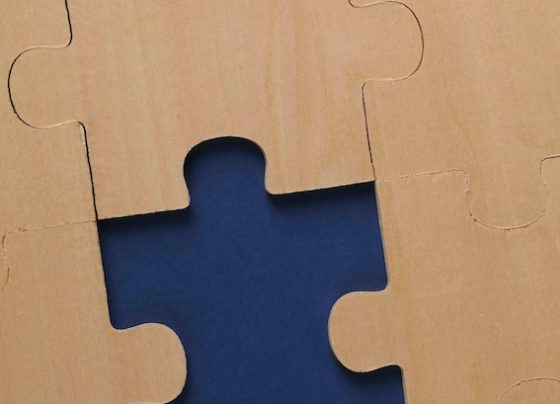 puzzle-wiecej-niz-rozrywka-to-trening-mozgu-dostepny-dla-kazdego