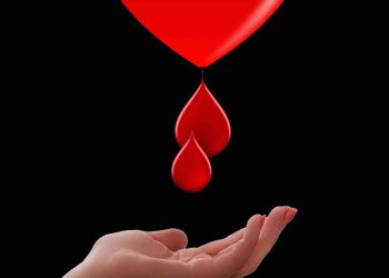 Honorowi dawcy krwi w Polsce - Coraz więcej benefitów i inicjatyw edukacyjnych - polishmagazine.com.pl honorowi-dawcy-krwi-w-polsce-coraz-wiecej-benefitow-i-inicjatyw-edukacyjnych