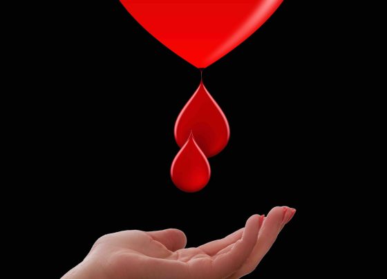 honorowi-dawcy-krwi-w-polsce-coraz-wiecej-benefitow-i-inicjatyw-edukacyjnych