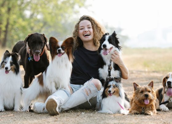 weekend-ktory-zmienia-relacje-z-psem-pierwsza-edycja-psiej-akademii