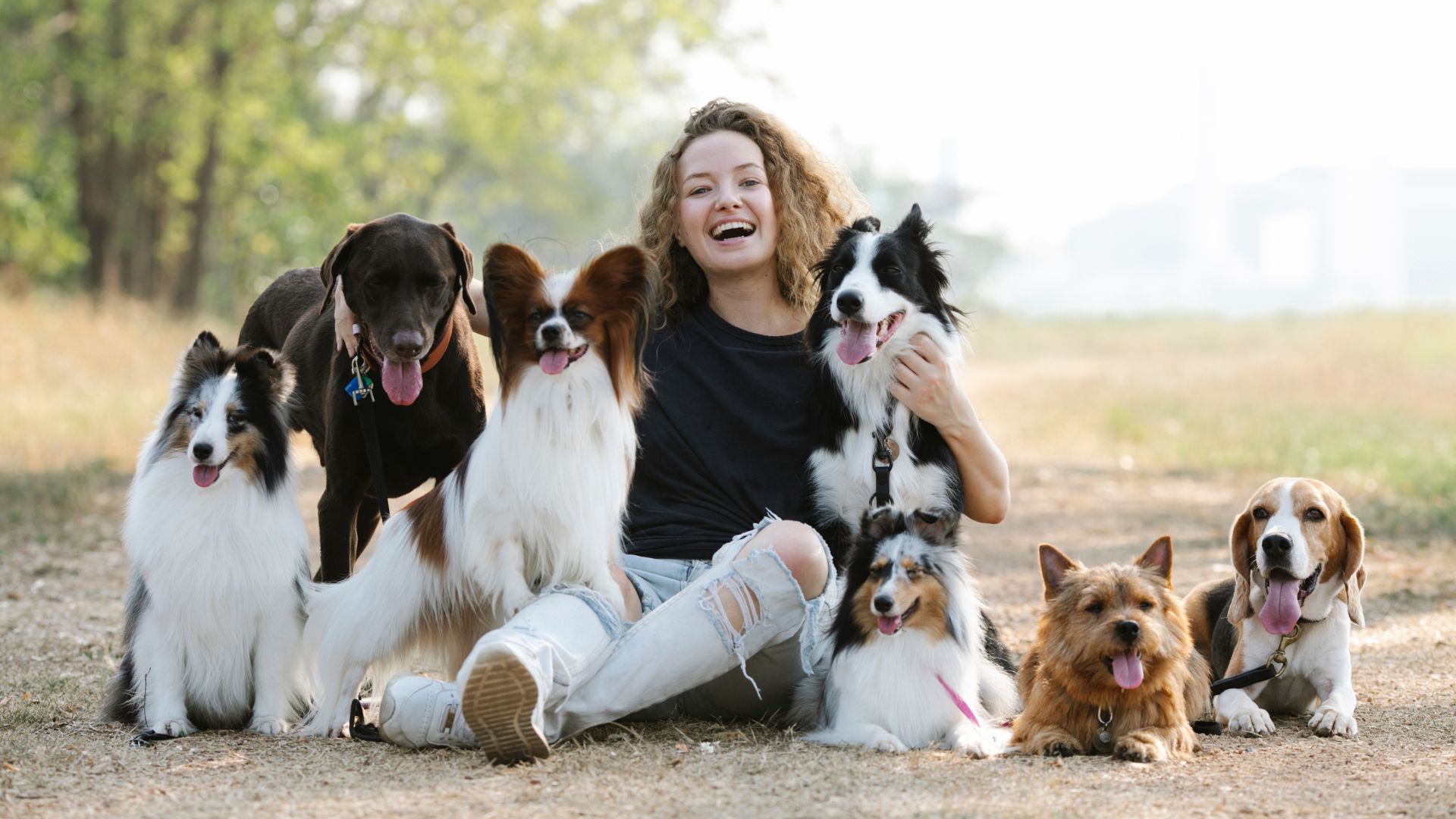 weekend-ktory-zmienia-relacje-z-psem-pierwsza-edycja-psiej-akademii