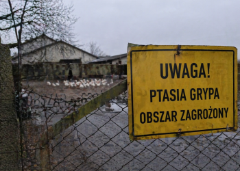 „Pogotowie sanitarne” kraju