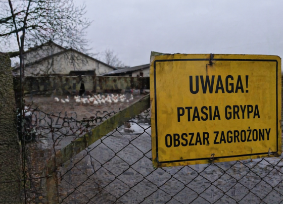 „Pogotowie sanitarne” kraju - Poilish Magazine