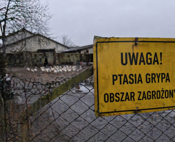 „Pogotowie sanitarne” kraju - Poilish Magazine