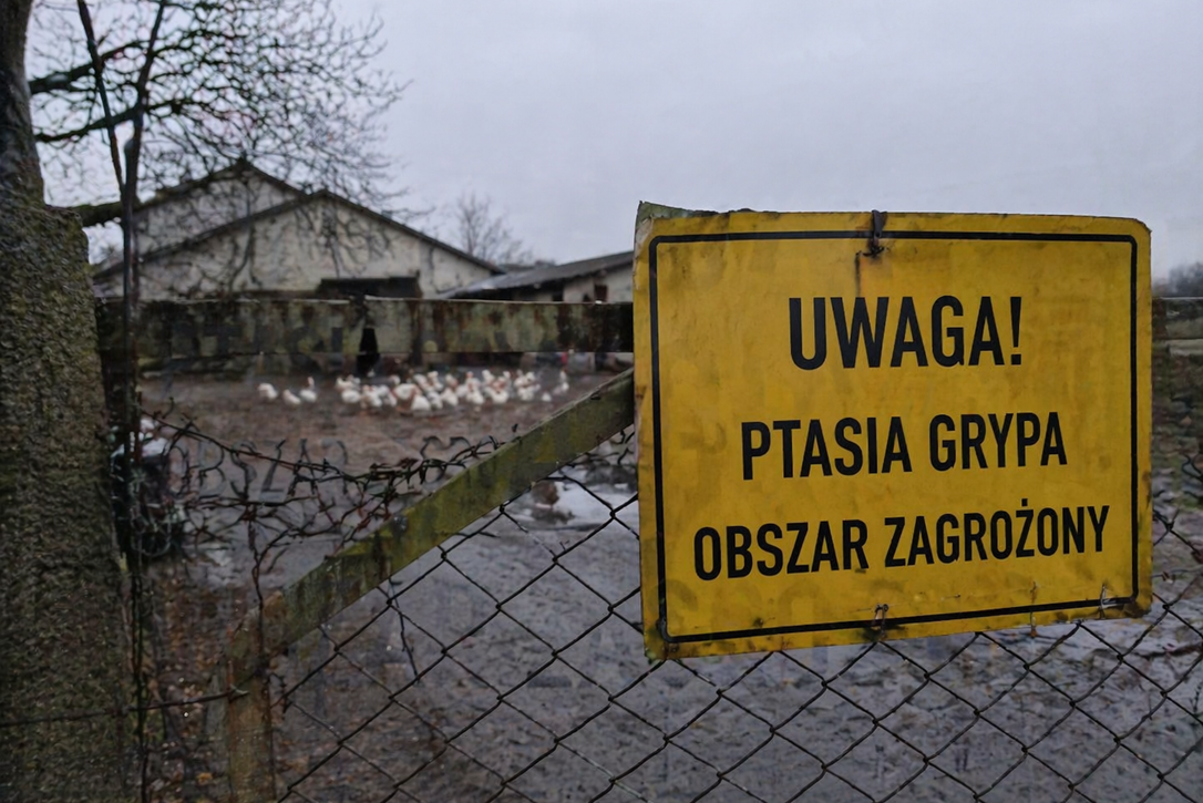 „Pogotowie sanitarne” kraju - Poilish Magazine