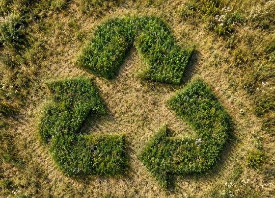 Od odpadu do surowca. Czy śmieci staną się źródłem bogactwa? - Poilish Magazine